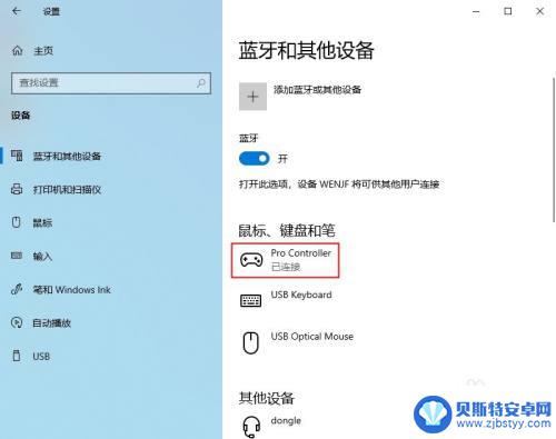 怎么在steam上用手柄游戏 如何连接NS手柄玩Steam游戏