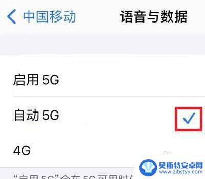 苹果手机4g改5g手机设置方法 苹果手机5G网络设置方法