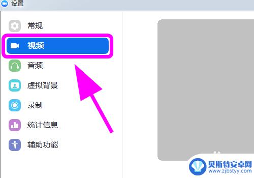 手机zoom如何开美颜 Zoom美颜设置方法
