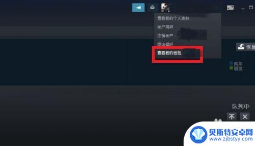 怎么冲到steam钱包里 STEAM钱包充值教程