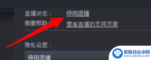 steam怎么开直播直播 Steam直播怎么关掉