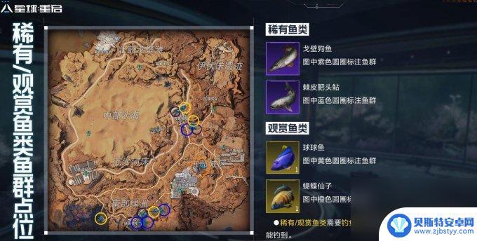 星球重启尖叫戈壁观赏鱼 星球重启尖叫戈壁钓鱼点攻略