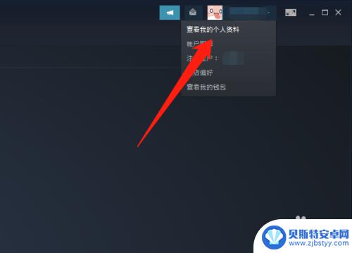 steam怎么看历史浏览的游戏 Steam如何查看最近玩过的游戏