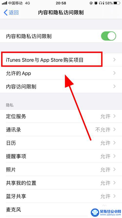 怎么限制苹果手机装app 苹果iPhone如何设置禁止安装应用