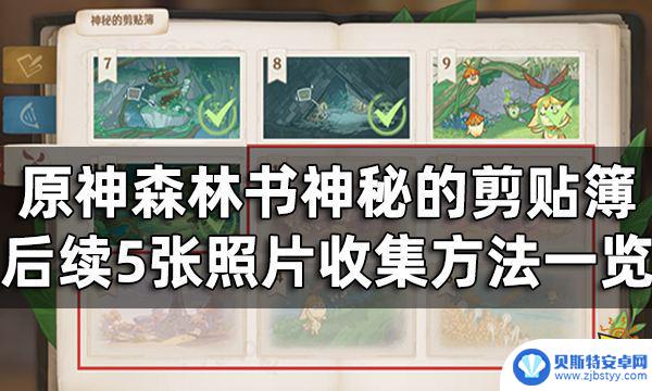 原神森林书12号怎么拿 原神神秘的剪贴簿11至15号获取攻略