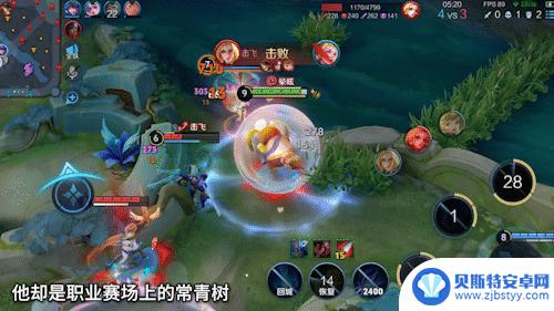 5年后,TA再次称霸打野!镜、马、露娜继续高分表现!
