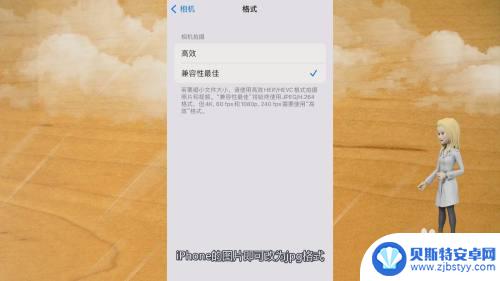 苹果手机相片如何改格式 如何将iPhone图片改成jpg格式