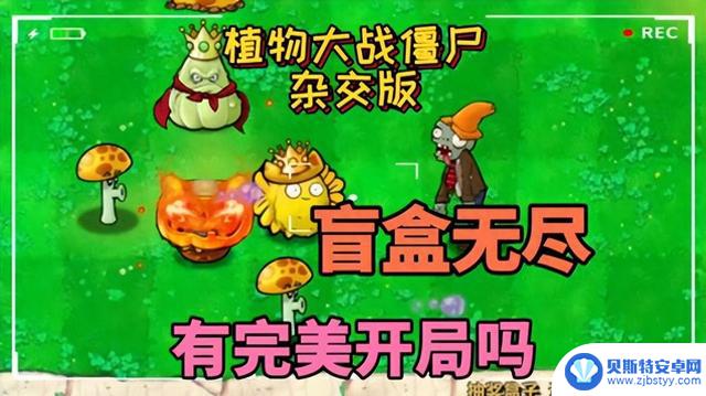 植物大战僵尸杂交版盲盒惊喜多多，乐趣无穷！