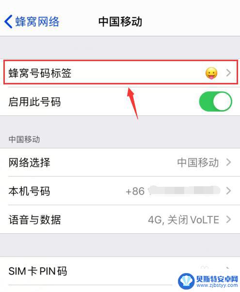 苹果手机网络标签怎么设置 iPhone上如何设置蜂窝号码的可爱标签