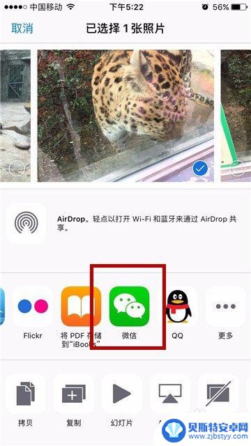 手机图库怎么传到微信上 iPhone手机如何在相册中直接发送照片到微信