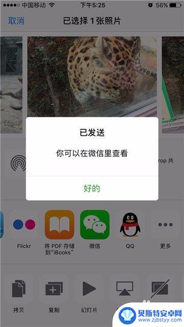 手机图库怎么传到微信上 iPhone手机如何在相册中直接发送照片到微信