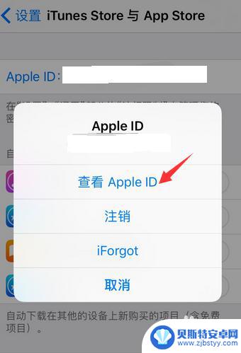 iphone8无法连接appstore iphone8无法连接app store怎么修复