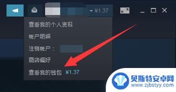 steam钱包设置在哪里 Steam钱包充值在哪里