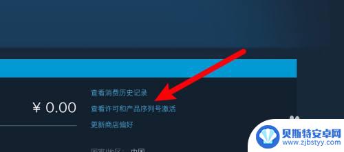 steam 游戏编号 steam游戏代码怎么查看