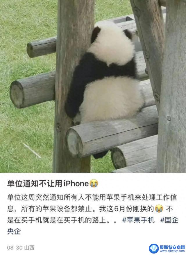 公务员禁止在办公场所使用苹果手机?体制内人已收到通知