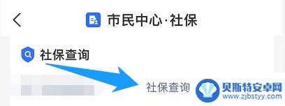 农村农保手机怎么查询 农保缴费情况如何在手机上查询