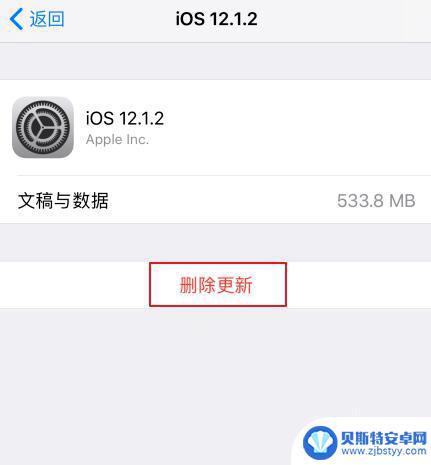 苹果手机设置的红点 iOS更新已屏蔽但设置仍有小红点