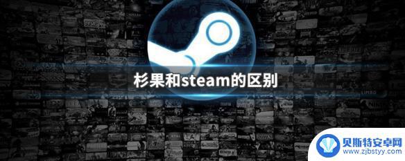 衫果与steam 杉果和steam的优缺点对比