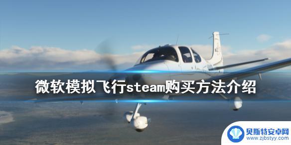 steam微软模拟飞行 steam平台上购买《微软模拟飞行2020》的方法