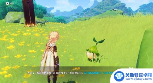 原神兰阐荼 原神须弥兰阐荼高矮罐子击破顺序推荐队伍