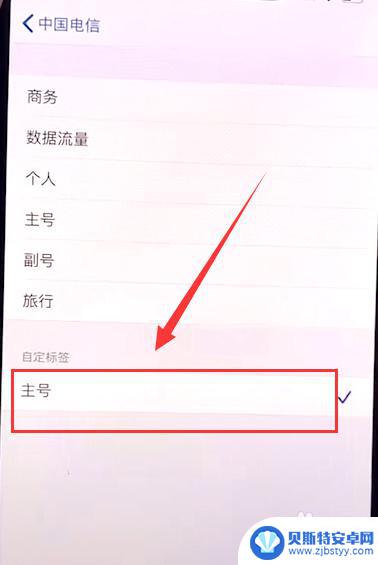 怎么设置苹果手机信号图标 苹果12信号显示图标修改教程