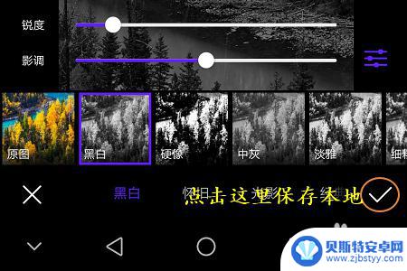 手机拍黑白照片怎么设置 手机App如何将图片变成黑白