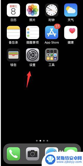 怎么看苹果手机使用记录 iPhone怎么查看每天使用软件的具体情况