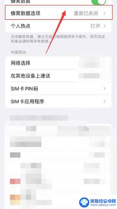 苹果手机漫游在哪里打开 苹果手机数据漫游开关在哪个设置里