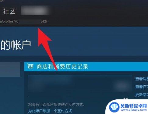 steam id 17 如何查看Steam账号的17位数字ID