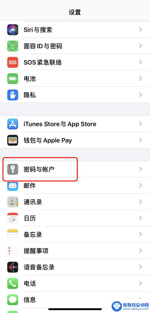 如何查询手机记录的密码 iPhone如何查看已保存的密码