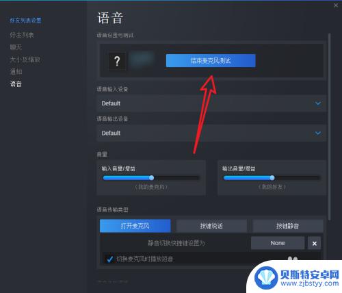 怎么测试steam语音可以用吗 如何确保Steam游戏中麦克风正常工作