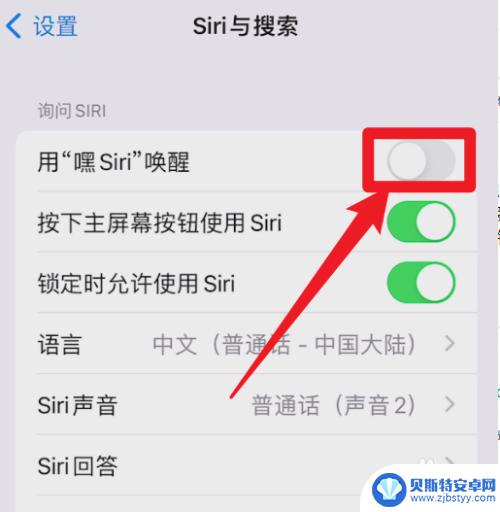 苹果手机赛瑞怎么启用 苹果12 Siri在哪个设置菜单中打开