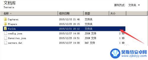 泰拉瑞亚全存档导入 泰拉瑞亚1.4全物品存档导入教程