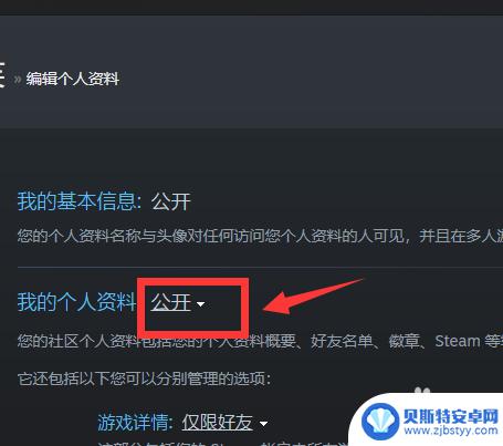 steam资料设置怎么全隐藏 steam个人资料设置隐私