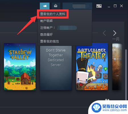 steam资料设置怎么全隐藏 steam个人资料设置隐私