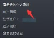 steam背景怎么弄自己照片 Steam怎么调整背景设置