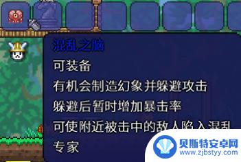 泰拉瑞亚肉前饰品有哪些 泰拉瑞亚肉山前最强饰品搭配推荐