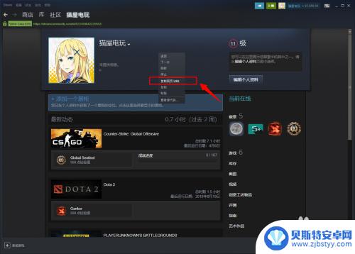 steam主页链接 如何查看Steam个人链接