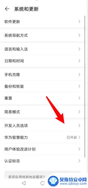 华为智能手机黑白屏怎么调回来 华为手机黑屏怎么解决