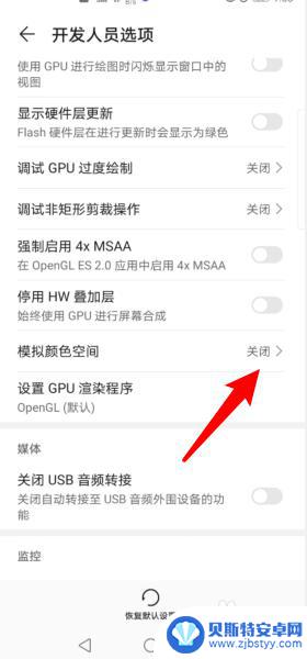 华为智能手机黑白屏怎么调回来 华为手机黑屏怎么解决