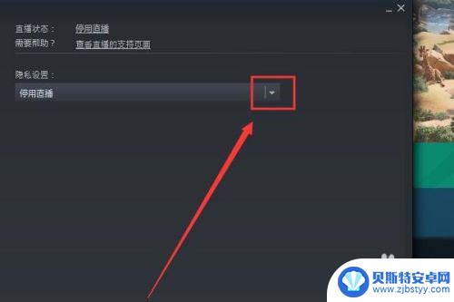 steam怎么开直播给好友 steam如何开直播教程