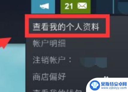 steam怎么不让好友看的游戏 Steam个人游戏动态如何隐藏