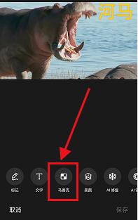 手机照片打马赛克怎么打 手机照片打马赛克的步骤