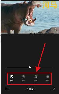 手机照片打马赛克怎么打 手机照片打马赛克的步骤