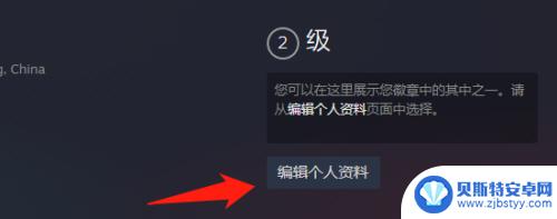 怎么不显示steam玩的游戏 Steam设置隐私保护不让好友看到自己在玩什么游戏