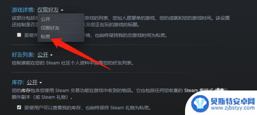 怎么不显示steam玩的游戏 Steam设置隐私保护不让好友看到自己在玩什么游戏