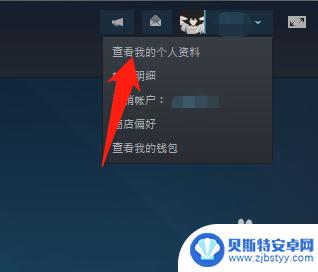 怎么不显示steam玩的游戏 Steam设置隐私保护不让好友看到自己在玩什么游戏