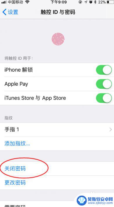 苹果手机功能密码怎么设置 苹果手机密码设置教程
