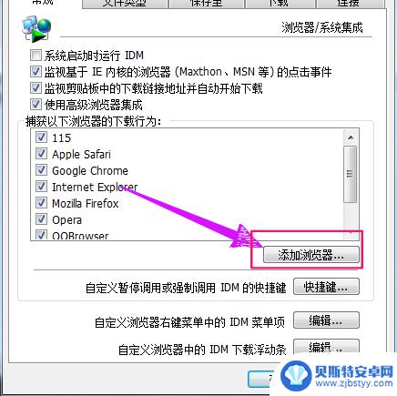 手机idm如何导入浏览器 IDM如何在浏览器上添加