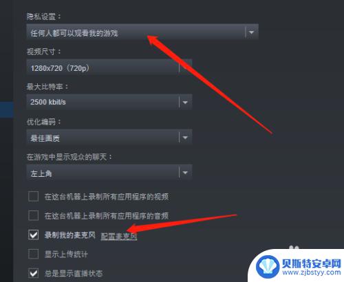 steam里直播 steam如何直播游戏教程